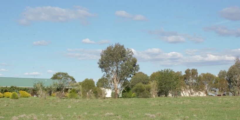Hobby Farm in the Lachlan Valley