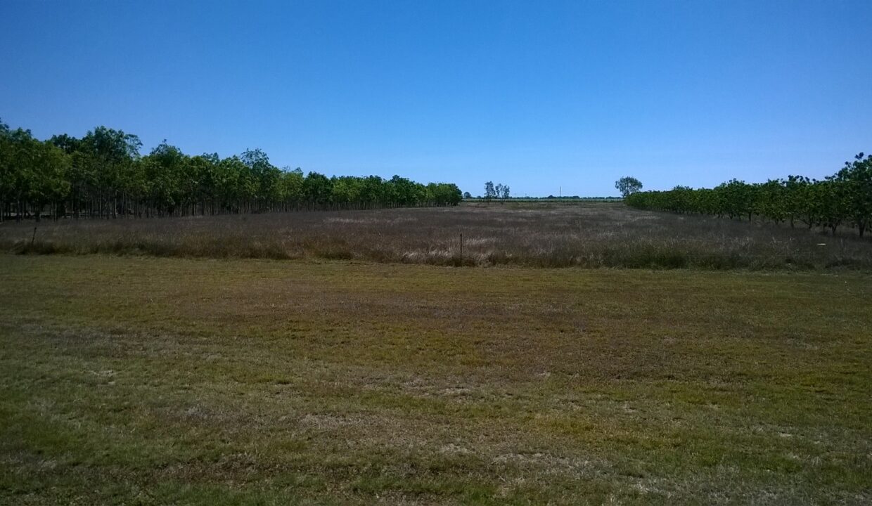 Land for sale in Horseshoe lagoon