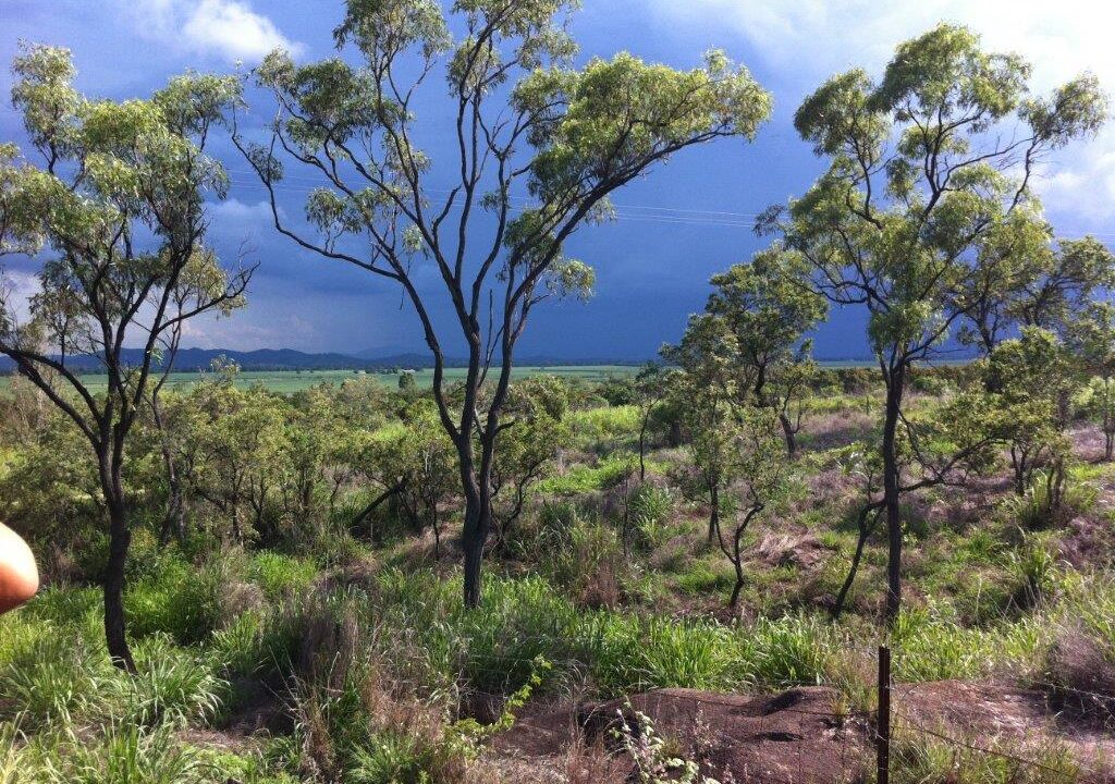 Land for sale in Mount Kelly Qld